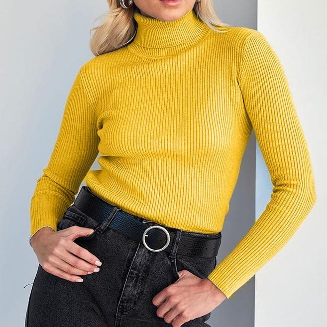 MAEVA™ - Textured Turtleneck Knit Sweater